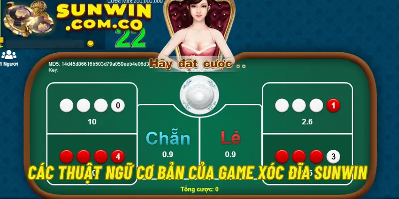 Các thuật ngữ cơ bản của game xóc đĩa Sunwin